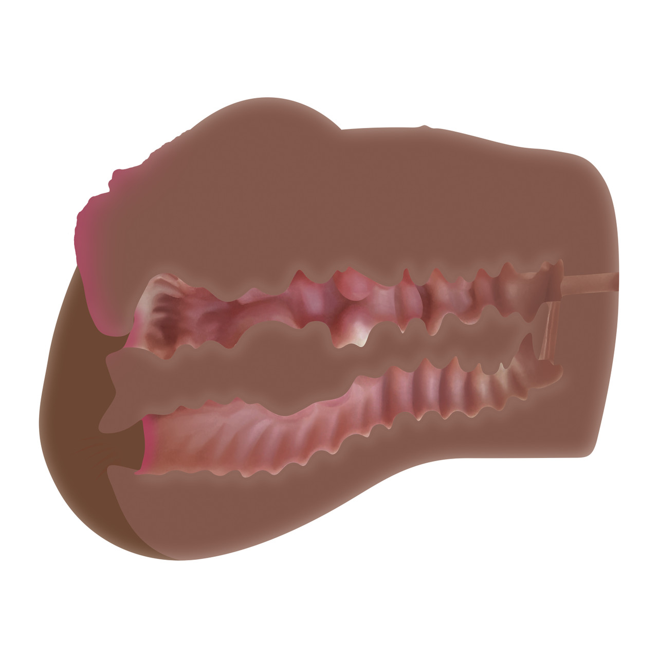 Skyler Nicole Realistic Ass & Vagina Stroker