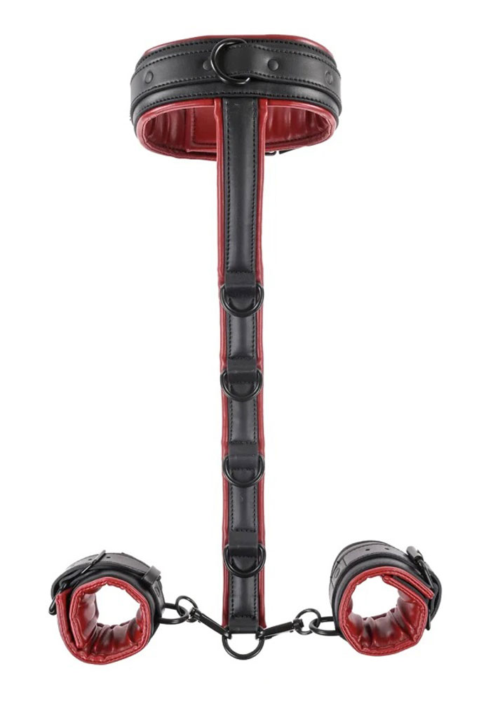 Adjustable Neck & Wrist Restraints