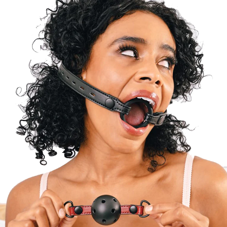 Interchangeable Gag with Adjustable Buckle