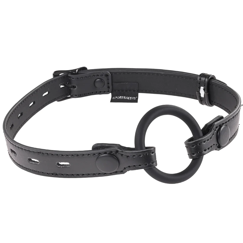 Interchangeable Gag with Adjustable Buckle